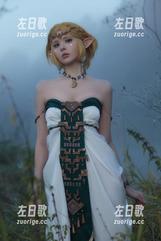 Vinnegal的写真更新，我们都为塞尔达疯狂了吧