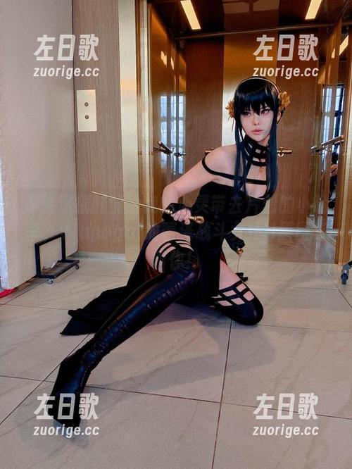 希望这福利能给我的心灵带去片刻的小确幸，Vinnegal的蕾泽战斗女仆II原图等着你！